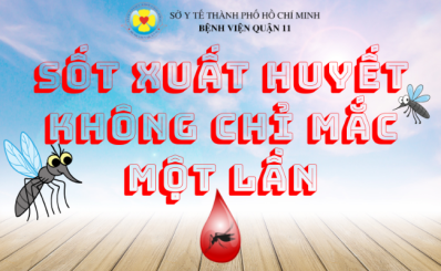 (HCDC-Clip) Sốt xuất huyết không chỉ mắc một lần